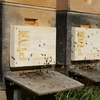 Bienenpatenschaft Bienenvölker Holztafel mit Logo Pins & mehr Bienenvolk